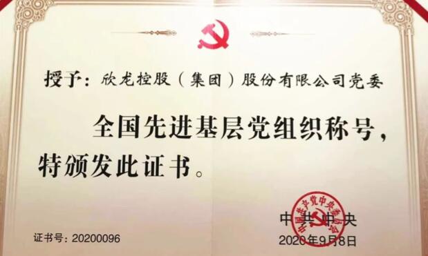 【動態(tài)新聞】表彰！欣龍控股榮獲兩項國家級重要榮譽(yù)